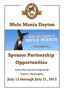 2013 Sponsorship Booklet Small jpg